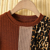 Girl Colorblock Leopard Print Dress