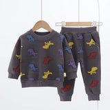 Unisex Dinosaur Sweatshirt Set