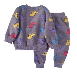 Unisex Dinosaur Sweatshirt Set