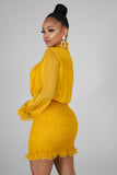 Deysi Bodycon Dress