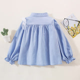 Tulle Asymmetric Long Sleeve Shirt